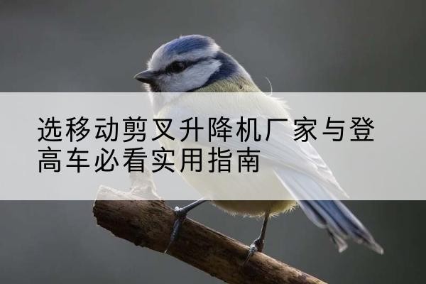 江汉电动升降机厂家-选移动剪叉升降机厂家与登高车必看实用指南