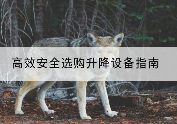 江汉升降货梯厂家推荐-*安全选购升降设备指南